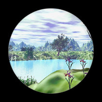 A Cove magnets