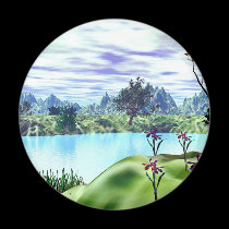 A Cove magnets