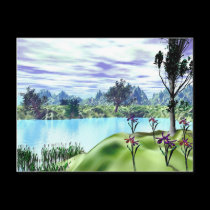 A Cove postcards