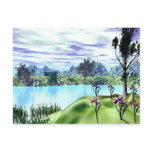 A Cove Postcard
