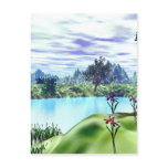 A Cove Postcards