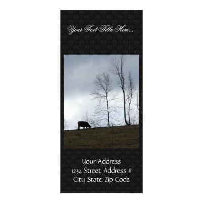 A Cow Eating Grass On The Hill With Naked Trees Customized Rack Card by animalpark