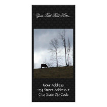 A Cow Eating Grass On The Hill With Naked Trees Rack Cards