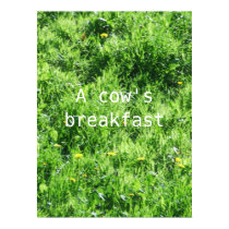 A cow's breakfast posters