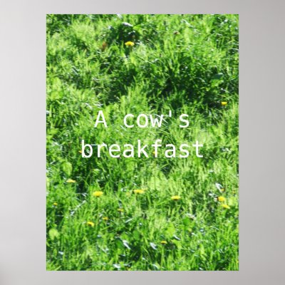 A cow's breakfast poster by apmercer