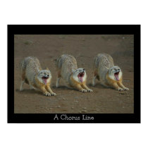 A  Coyote Chorus Line posters