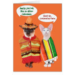 A Cranky Cats' Cinco de Mayo Greeting Card