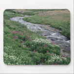 A creek running through the woods. mousepads