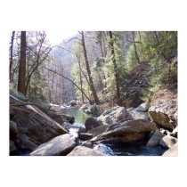 A creek runs through it... posters