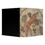 A cupid picking grapes, fragment of pavement 3 ring binders