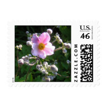 A Custom Postage Stamp - Fall Blooming Anemone