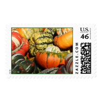 A Custom Postage Stamp of Autumn Pumpkins!