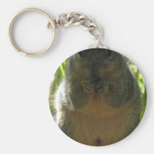 A cute, adorable squirrel picture key chain
