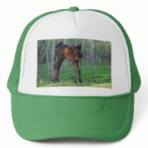 A cute baby foal hat