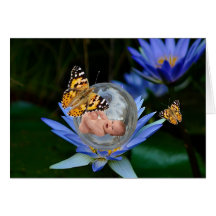 A cute baby lily butterfly bubble cards