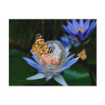 A cute baby lily butterfly bubble post cards