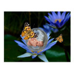 A cute baby lily butterfly bubble post cards