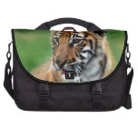 A cute baby tiger bag for laptop