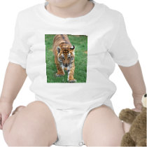 A cute baby tiger bodysuits