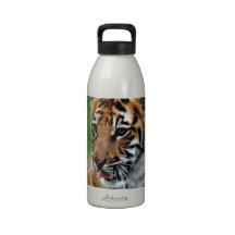 A cute baby tiger drinking bottle