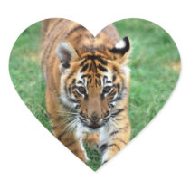 A cute baby tiger heart sticker
