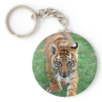 A cute baby tiger key chain