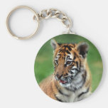 tiger plush keychain