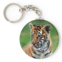 A cute baby tiger keychains