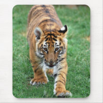 A cute baby tiger mousepads