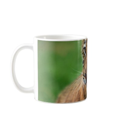 A cute baby tiger mug by laureenr