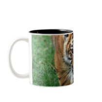 A cute baby tiger mugs