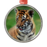 A cute baby tiger ornament