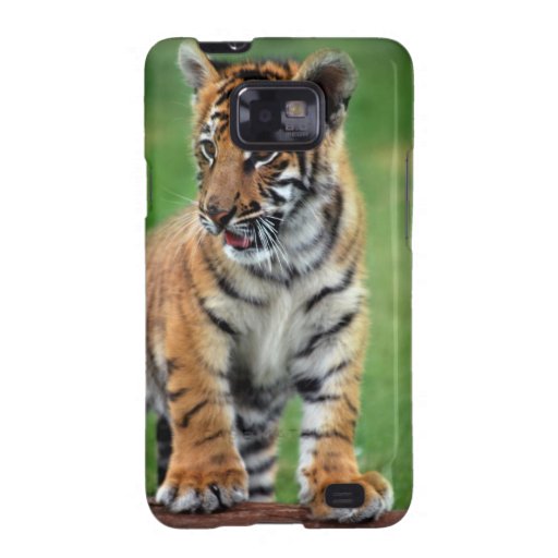 A cute baby tiger samsung galaxy s covers