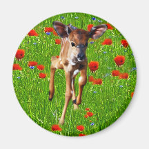 A cute little baby Nyala's joy Refrigerator Magnets