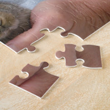 A cute little rabbit puzzles