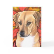 A cute Snoot Christmas cards by wilddogs A cute Snoot Christmas cards