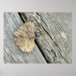 A Cycle Fine Art Photography Print