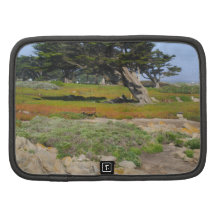 A Cypress On Ocean View Folio Planner