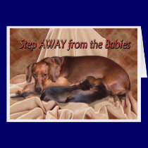A Dachshund Mother's Attitude! cards