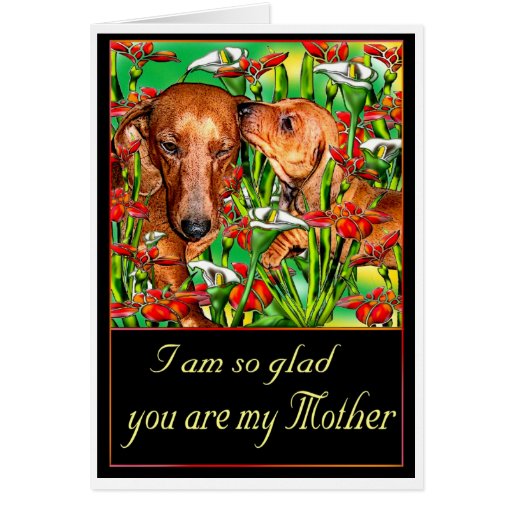 a-dachshund-mother-s-day-card-zazzle