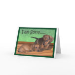 A dachshund puppy apology cards
