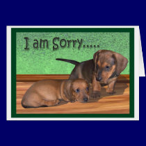 A dachshund puppy apology cards
