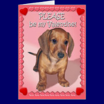 A Dachshund Puppy's Wish for Valentines Day cards