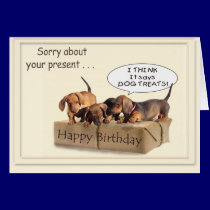 A Dachsund Birthday cards