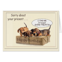 A Dachsund Birthday Greeting Cards