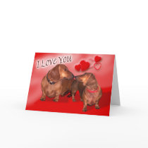 A dachsund Valentines Day cards