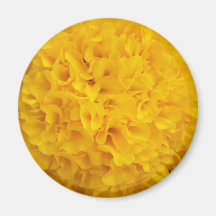 A Dandy Refrigerator Magnet
