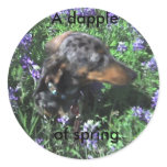 A dapple, of spring sticker
