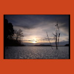 ice, melting, grass, reed, dawn, lake, pond, hill,