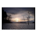 A Dawn on the Ice posters